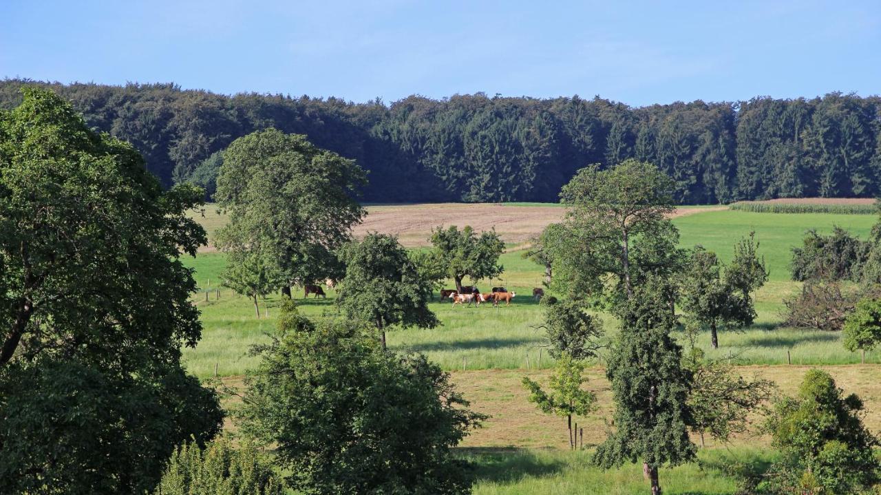 Ferienhof Knoll Lindenfels Εξωτερικό φωτογραφία