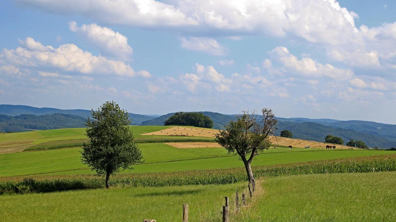 Ferienhof Knoll Lindenfels Εξωτερικό φωτογραφία